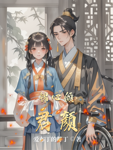 锦心倾君颜 cover