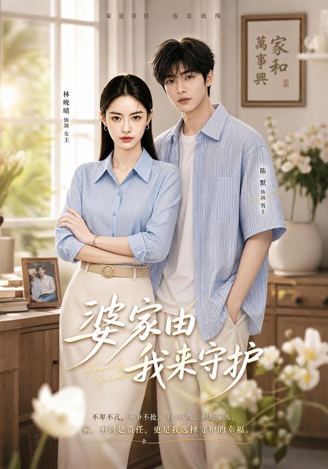 婆家由我来守护 cover