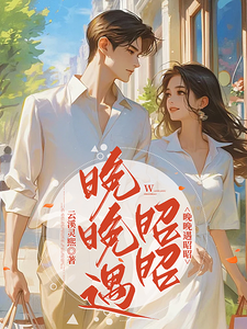 晚晚遇昭昭 cover