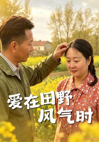 爱在田野风气时 cover