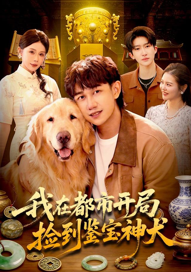 2026年真人剧都市《我在都市开局捡到鉴宝神犬（第一季）》