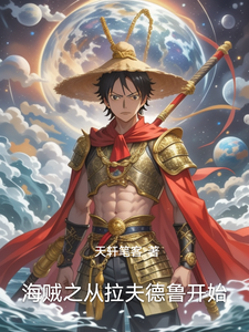 海贼之从拉夫德鲁开始 cover