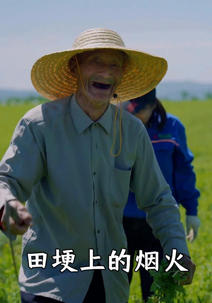 田埂上的烟火