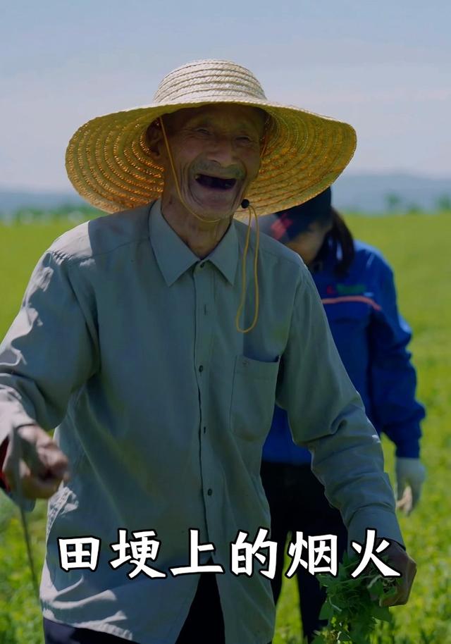 田埂上的烟火