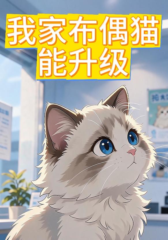 我家布偶猫能升级 cover