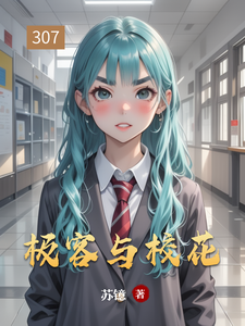极客与校花 cover