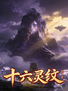 十六灵纹 cover