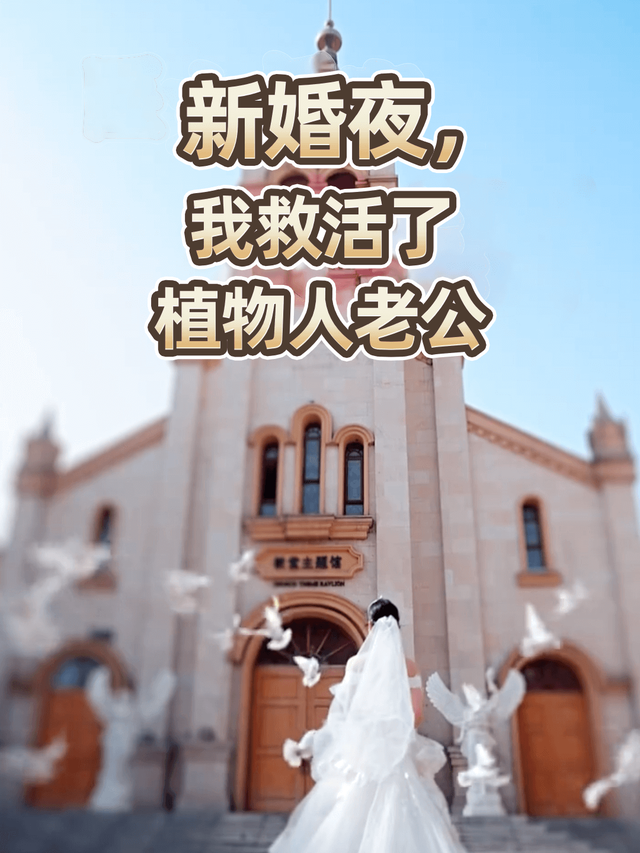 新婚夜，我救活了植物人老公