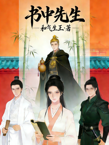 书中先生 cover