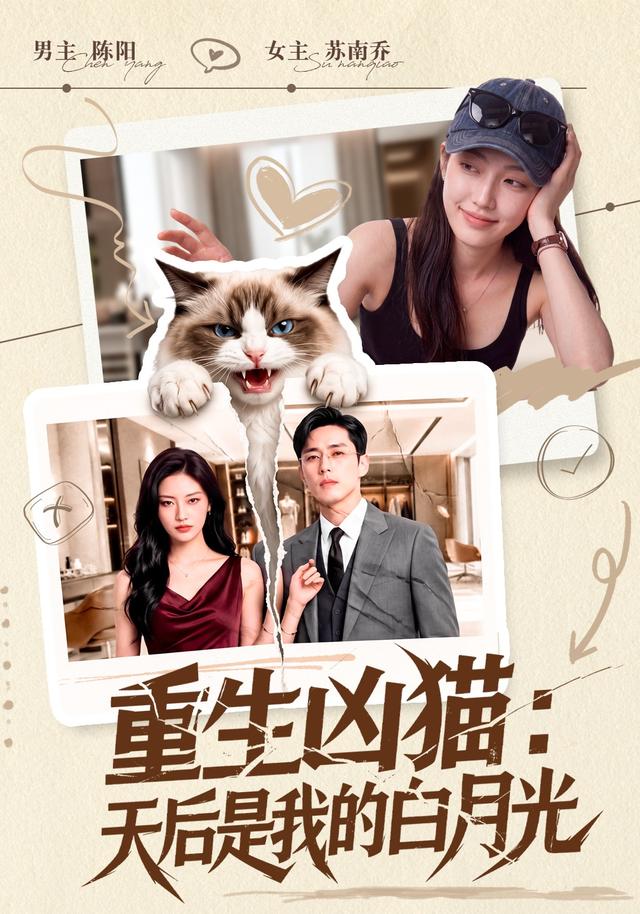 重生凶猫：天后是我的白月光