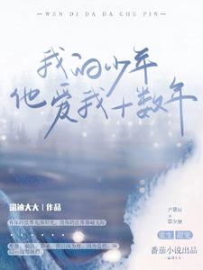 我的少年他爱我十数年 cover