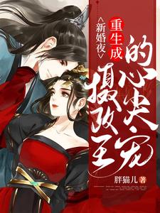 新婚夜，重生成摄政王的心尖宠 cover