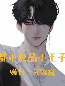 都市废品小王子 cover