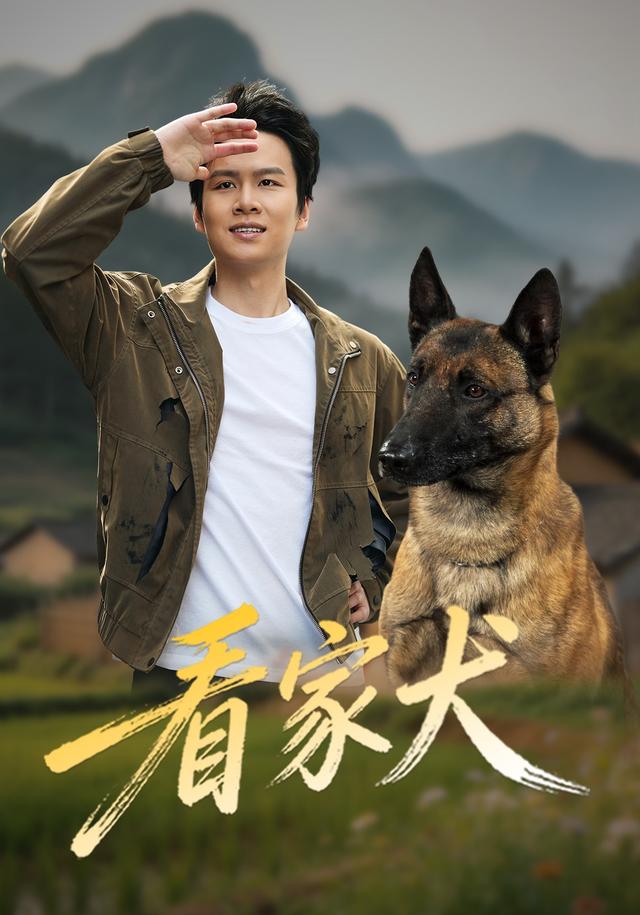 看家犬