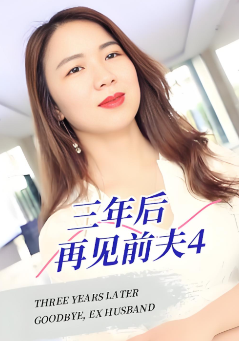 三年后再见前夫4