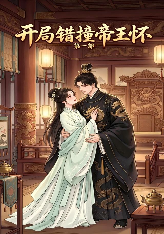 开局错撞帝王怀第一部 cover
