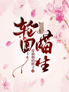轮回喵生 cover