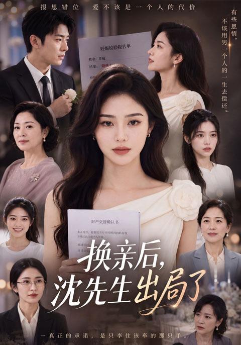 换亲后沈先生出局了 cover