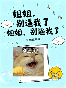 姐姐，别逼我了 cover