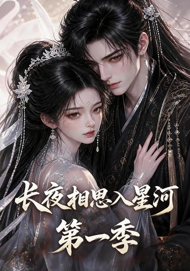 长夜相思入星河第一季 cover