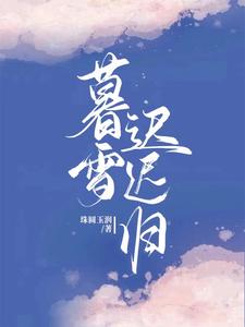 暮雪迟迟归 cover