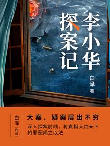 李小华探案记 cover