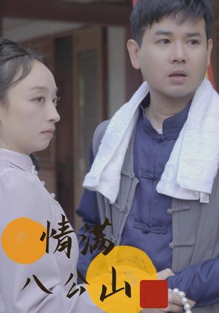 情满八公山封面图