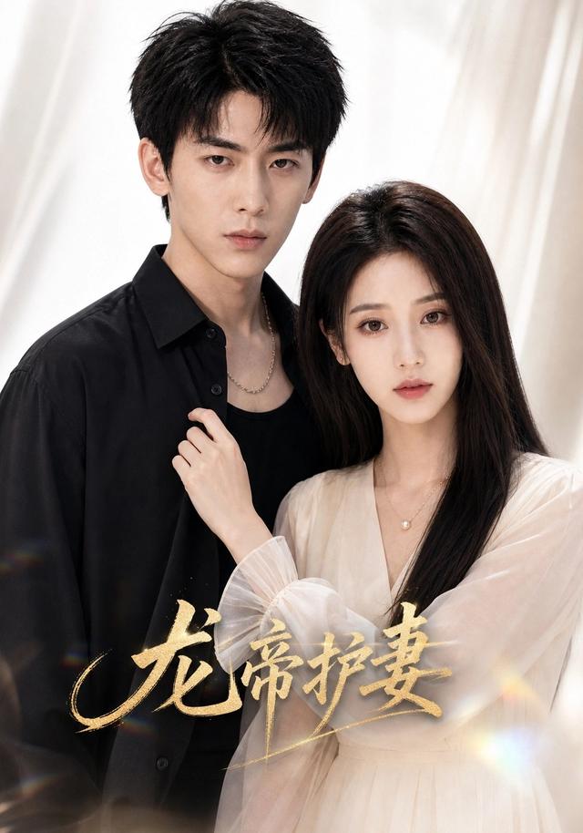 龙帝护妻