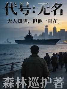 代号:无名 cover