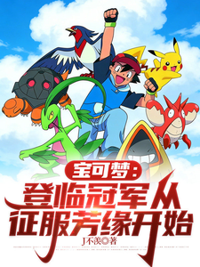 宝可梦:登临冠军从征服芳缘开始 cover