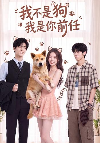 我不是狗我是你前任 cover