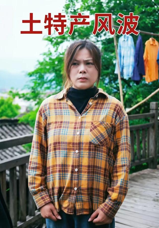 土特产风波 cover