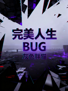 完美人生BUG cover