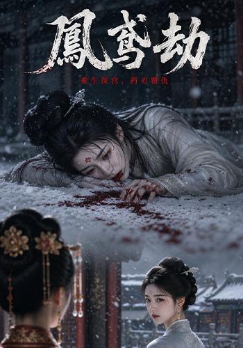 凤鸢劫 cover