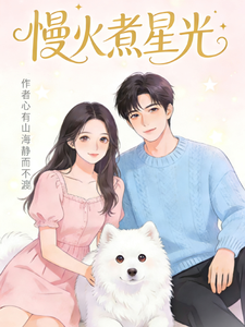 慢火煮星光 cover