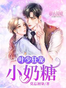 叶少狂宠小奶糖 cover