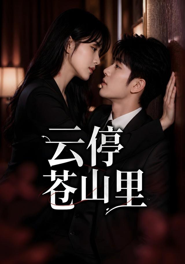 云停苍山里 cover