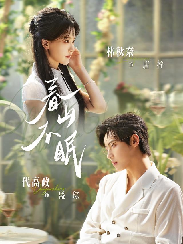 春山不眠 海报