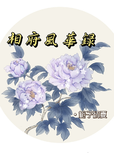 相府风华录 cover