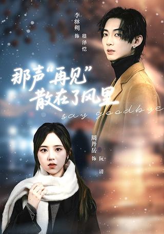 那声再见散在了风里封面图
