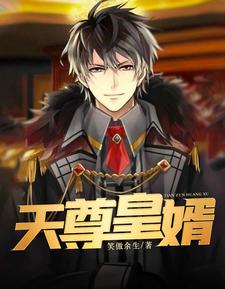 天尊皇婿 cover