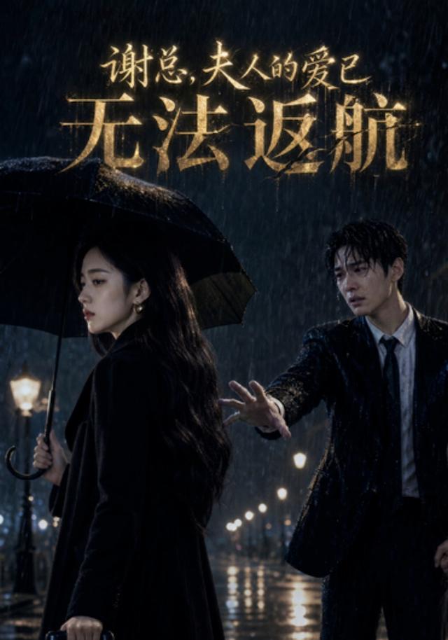谢总，夫人的爱已无法返航 cover
