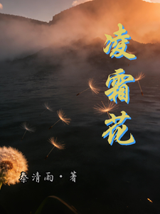 凌霜花 cover