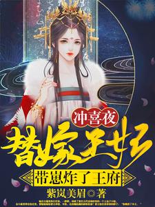 冲喜夜，替嫁王妃带崽炸了王府 cover