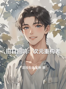 旧日回响:次元重构者 cover