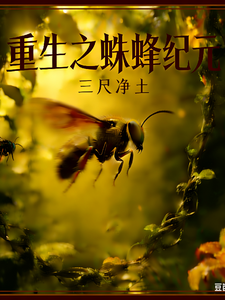 重生之蛛蜂纪元 cover