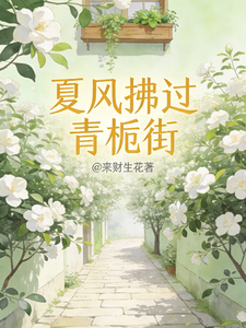 夏风拂过青栀街 cover
