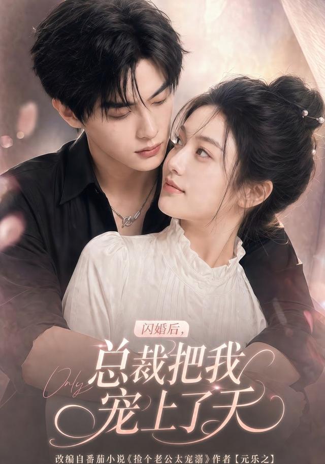 闪婚后，总裁把我宠上了天