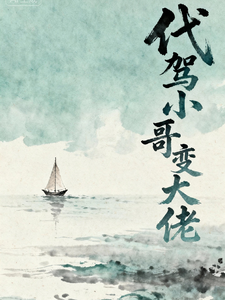 代驾小哥变大佬 cover