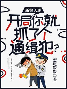 新警入职:开局你就抓了个通缉犯 cover